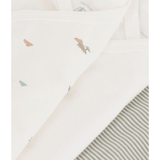 Short Sleeves Cotton Bodysuits - Pack of 3 - 1m to 12m - Hippo par Petit Bateau - The Safari Collection | Jourès