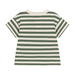 T-Shirt - 6M to 36M - Green Stripes par Petit Bateau - The Sun Collection | Jourès