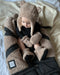 The Cub Set - Teddy | Hat & Mittens par 7AM Enfant Canada - New in | Jourès