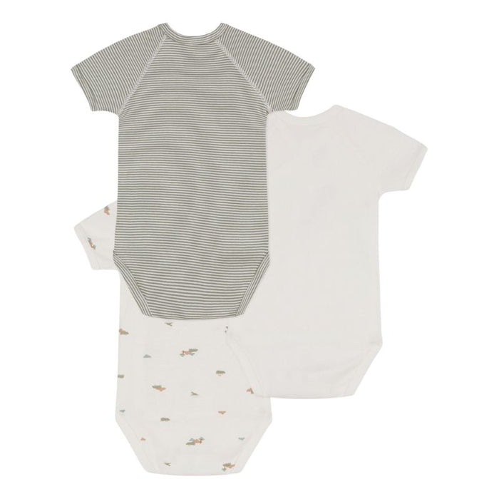 Short Sleeves Cotton Bodysuits - Pack of 3 - 1m to 12m - Hippo par Petit Bateau - Gifts $50 to $100 | Jourès