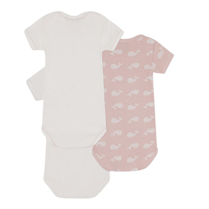 Short Sleeves Cotton Bodysuits - 3m to 24m - Pack of 3 - Pink Whales par Petit Bateau - Best Sellers | Jourès
