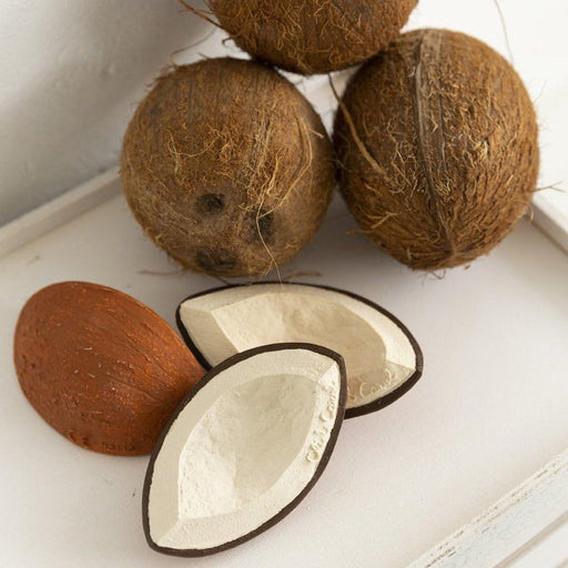 Teether bath toy for toddlers - Coco the coconut par Oli&Carol - Oli&Carol | Jourès