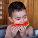 Jouet de bain et dentition - Wally la pastèque par Oli&Carol - Jeux éducatifs et loisirs | Jourès