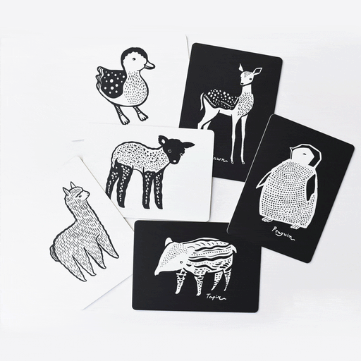 Cartes d'éveil sensoriel - Bébés animaux par Wee Gallery - La collection noir & blanc | Jourès