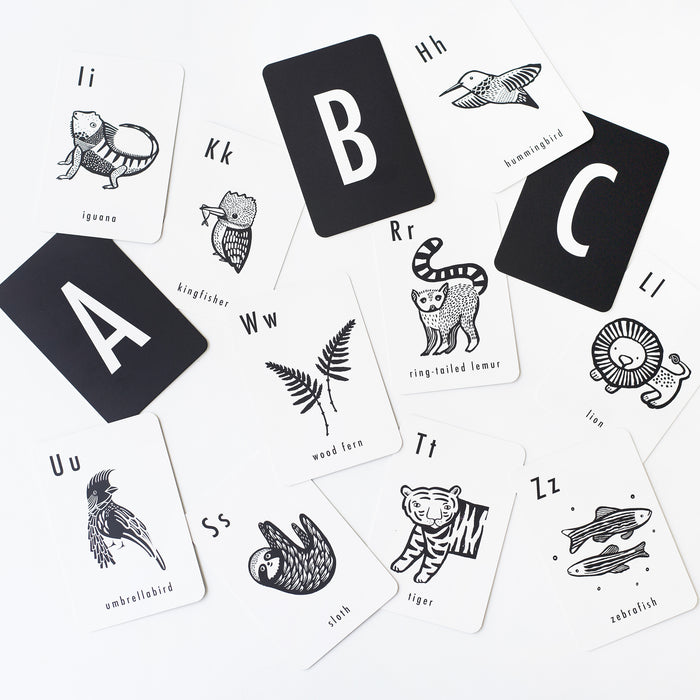 Alphabet Cards - Jungle par Wee Gallery - Baby - 6 to 12 months | Jourès