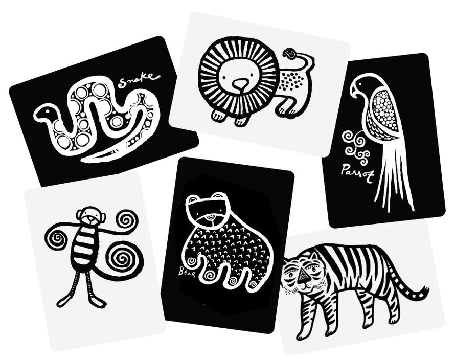 Sensory Art Cards - Jungle par Wee Gallery - Early Learning Toys | Jourès